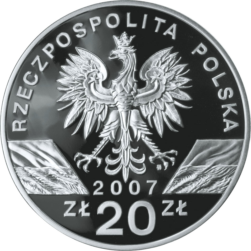 12 января 2007 года. 20 Злотых монета. Польша 20 злотых. Польская валюта 20 zl. 20 Злотых в рублях.