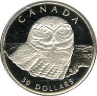 reverse of 30 Dollars - Elizabeth II - Canadian Wildlife: Snowy Owl (1991) coin with KM# 198 from Canada. Inscription: CANADA 30 DOLLARS