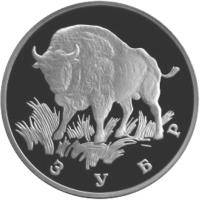 reverse of 1 Rouble - Red Data Book: Aurochs (Bison) (1997) coin with Y# 613 from Russia. Inscription: ЗУБР