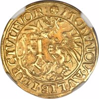 obverse of 1 Goldgulden (1616 - 1622) coin with KM# 49 from German States. Inscription: *MON·NOV·AV·LIB·IMP·CIVIT·VOR: