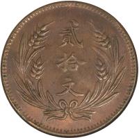 reverse of 20 Cash (1919) coin with Y# 308 from China.